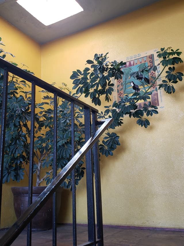 stairs1
